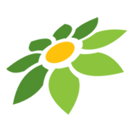 TWITTER DRAW